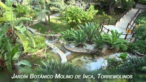 Jardín Botánico Molino de Inca en Torremolinos