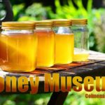 Honey Museum