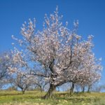 Malaga in February & Spring