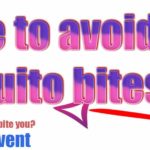 Guide to avoid mosquito bites