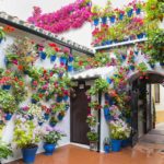 Festival of Patios in Cordoba, Spain