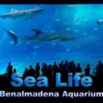 Sea Life Benalmadena Aquarium