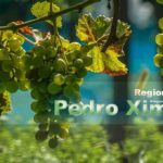 Malaga wine Pedro Ximenez