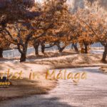 herbst-malaga