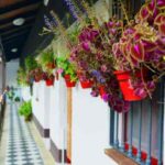Typische Andalusische Patios