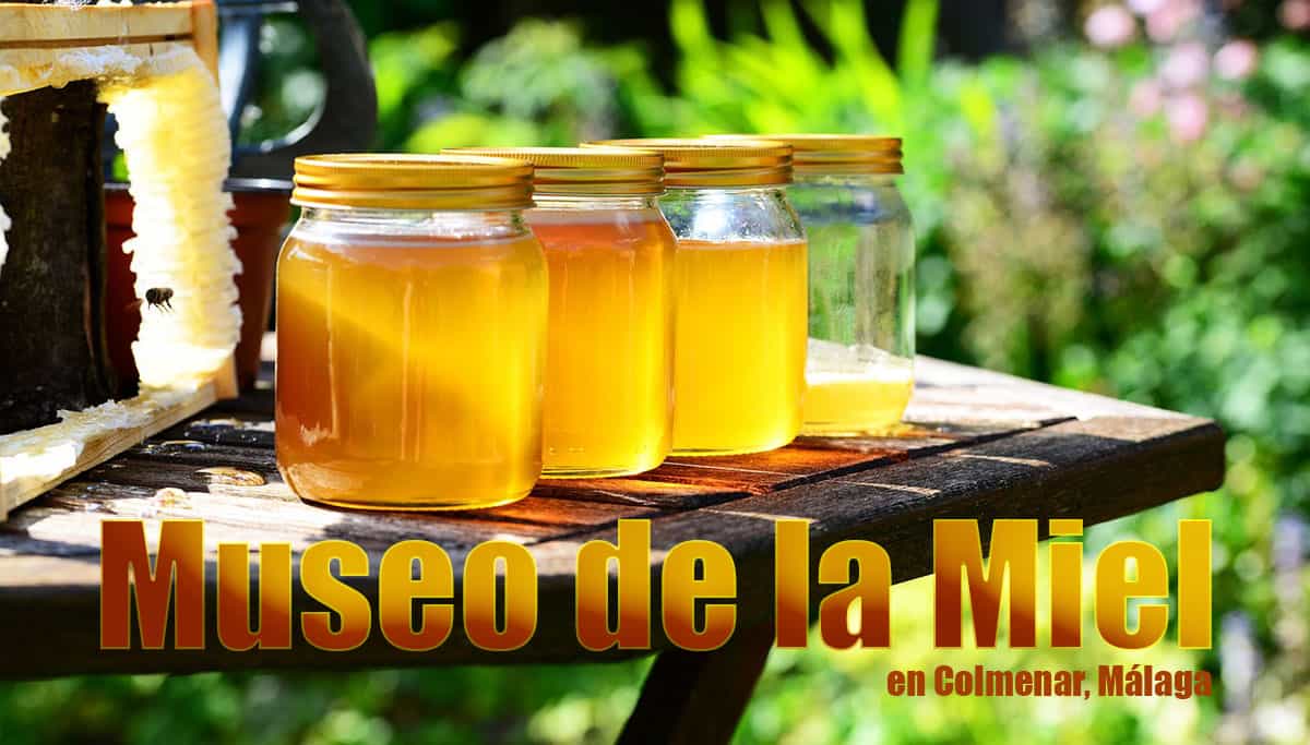 Museo de la Miel