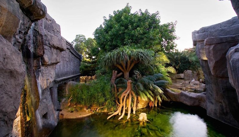 Bioparc Fuengirola - Zoológico y biodiversidad Fuengirola