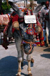 Mijas donkey taxi